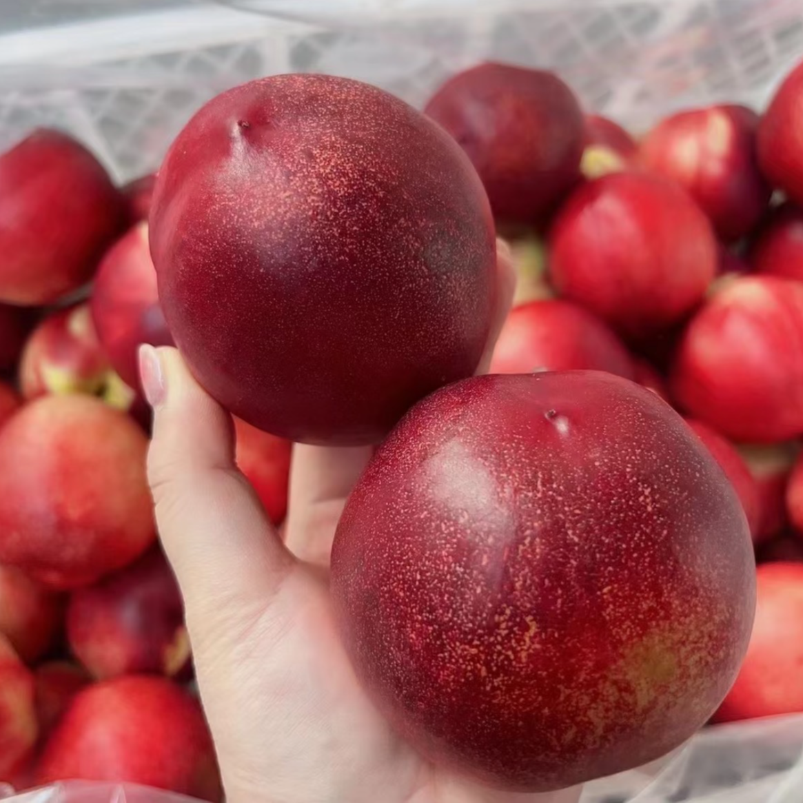 【翠宝宝】智利进口油桃 脆甜爽口 3/5斤 川渝包邮