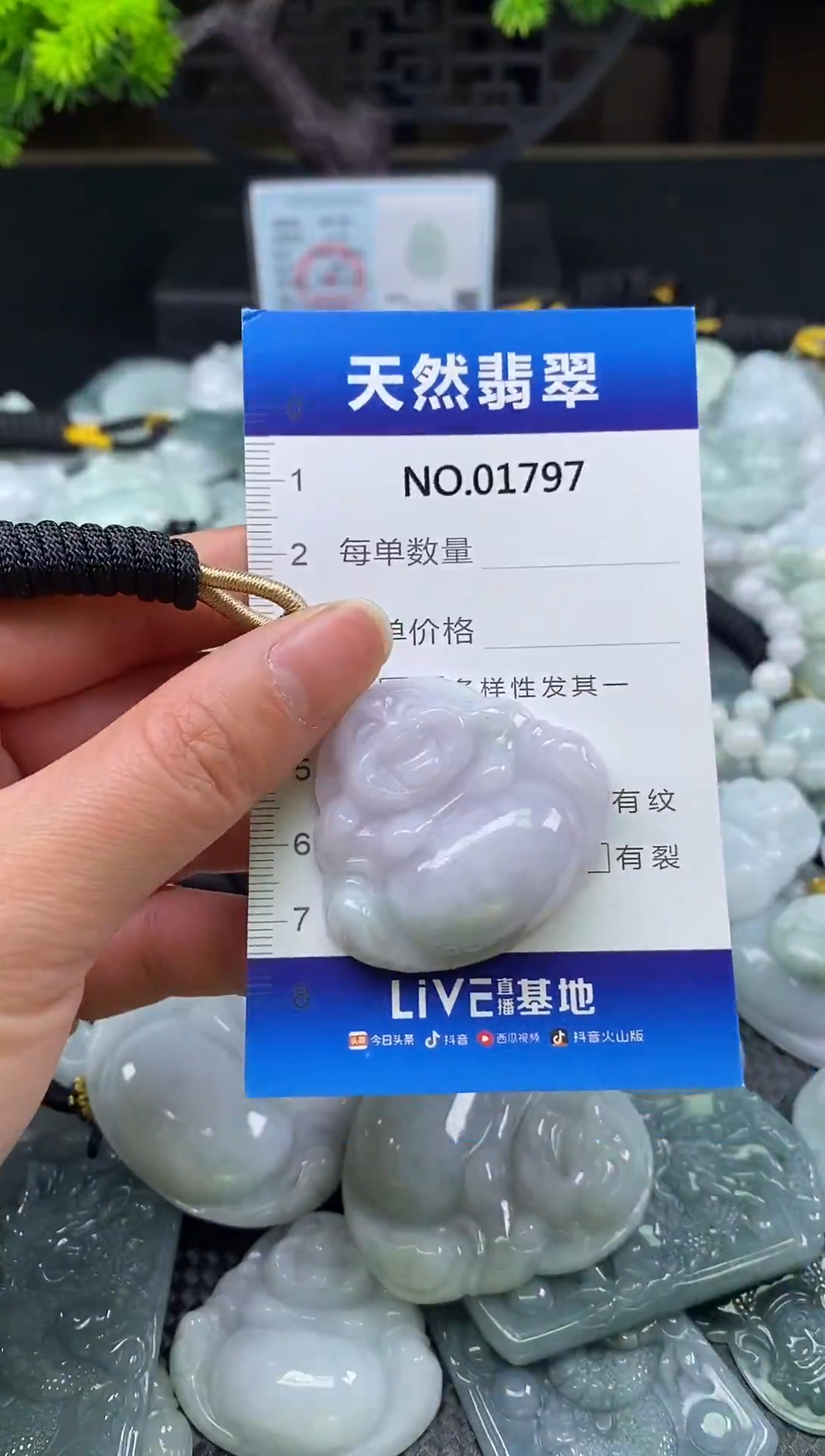 颈饰未镶嵌翡翠天然缅甸翡翠1797