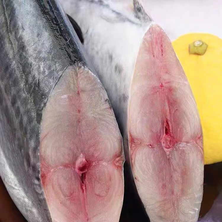 【初七推荐】新鲜鲅鱼 肉质鲜嫩 口感鲜美 香煎 红烧