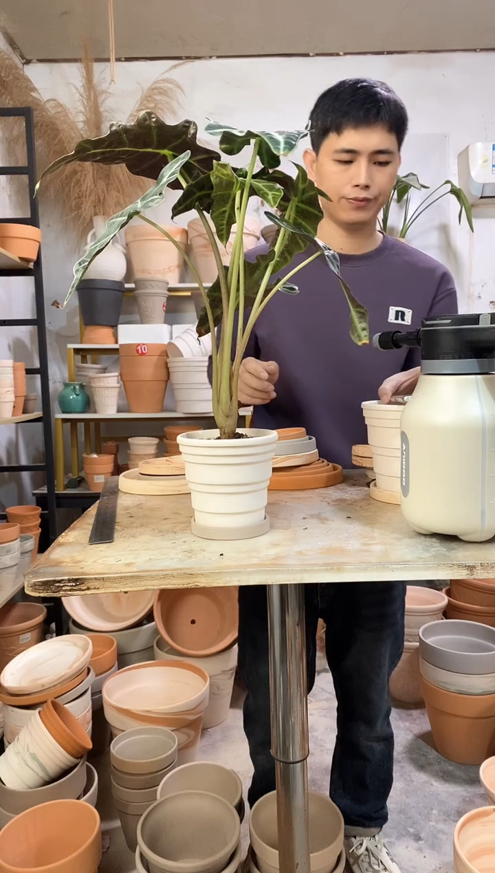 13*13白色竹节 1盆1托 灰陶托盘