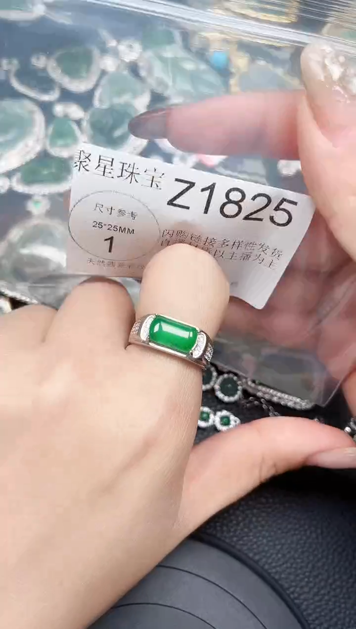 【闪购商品】翡翠颈饰未镶嵌赠皮绳1825