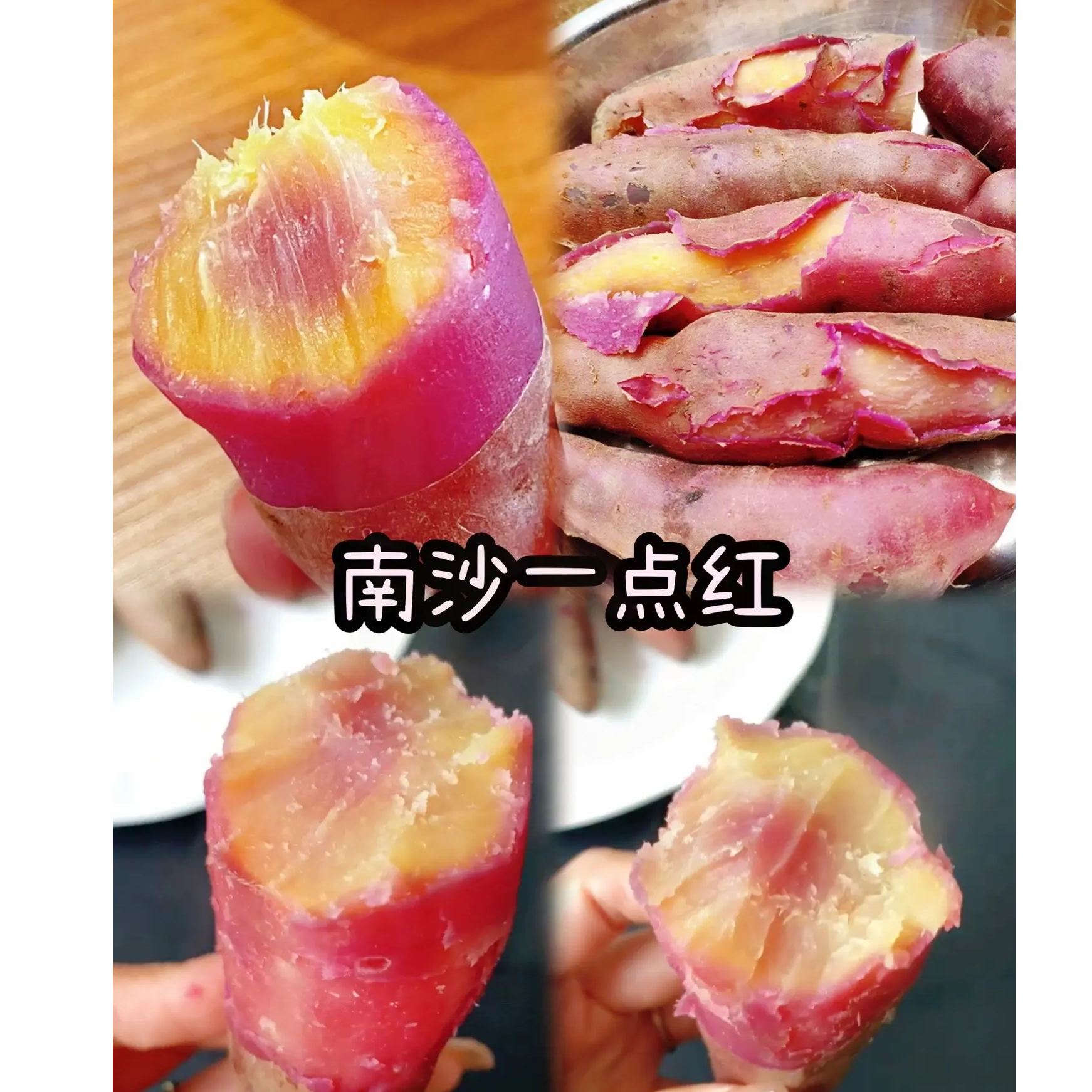 【南沙一点红番薯】茗荔园百香果生态园