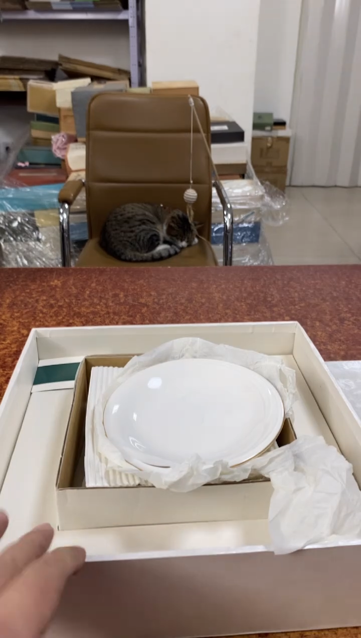 瓷片516小林轩欢迎您