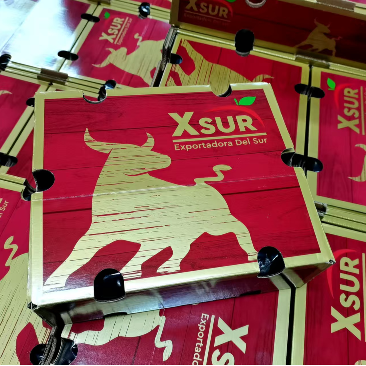 智利【桑缇娜】3J/4J海运车厘子2-5斤包邮内附果径卡