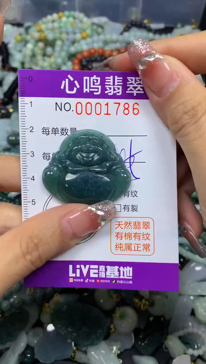 【闪购商品】翡翠颈饰未镶嵌闪购001786