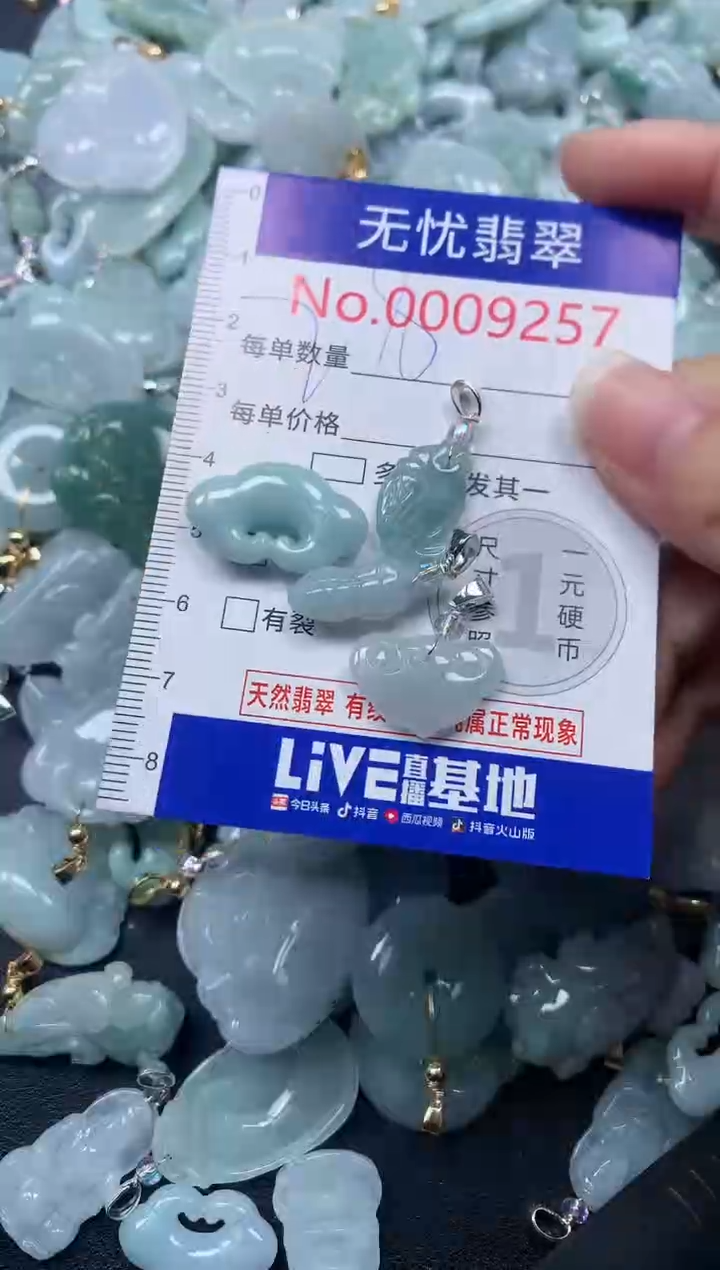 颈饰未镶嵌翡翠9257