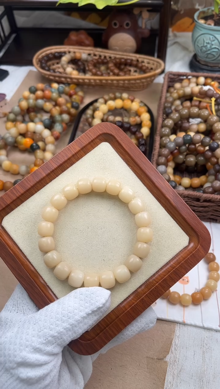 手串菩提根/象牙果a315 卡12.8 干磨海子