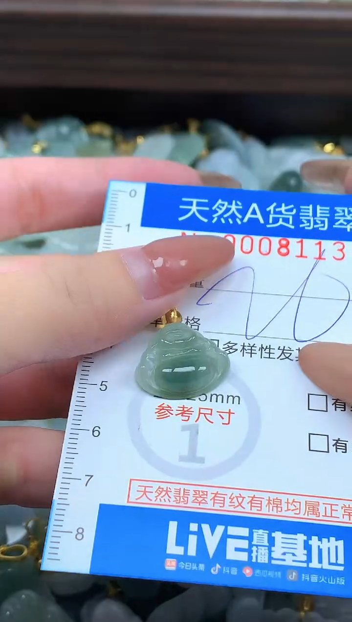 颈饰未镶嵌翡翠净货挂件-8113