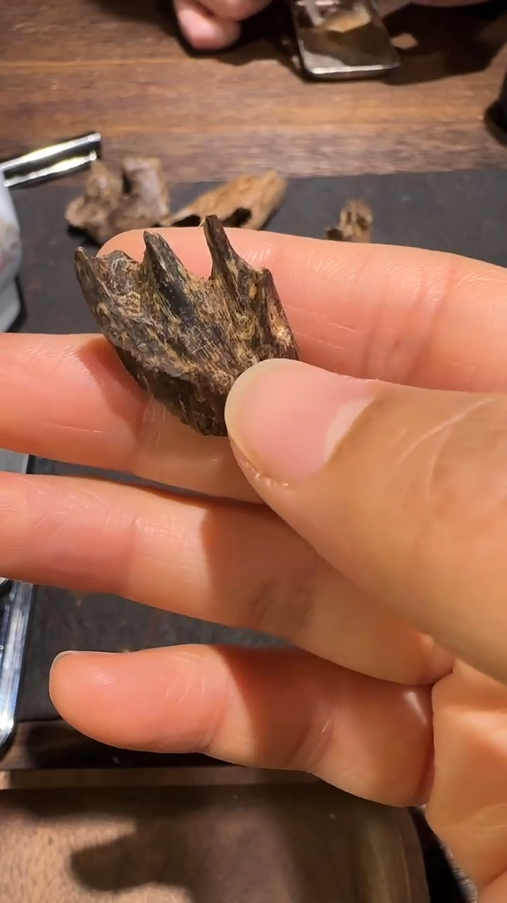 香料达拉干野生老料1.9g