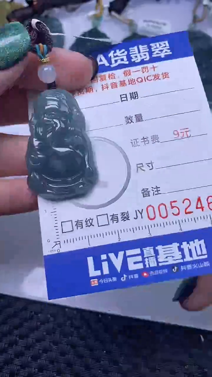 【闪购商品】翡翠颈饰未镶嵌A货翡翠2462