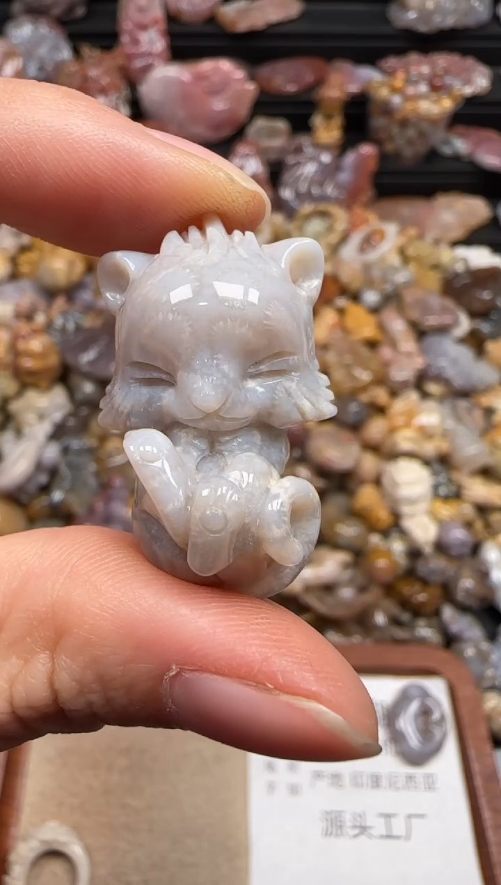 【闪购商品】硅化珊瑚（珊瑚玉）颈饰未镶嵌028