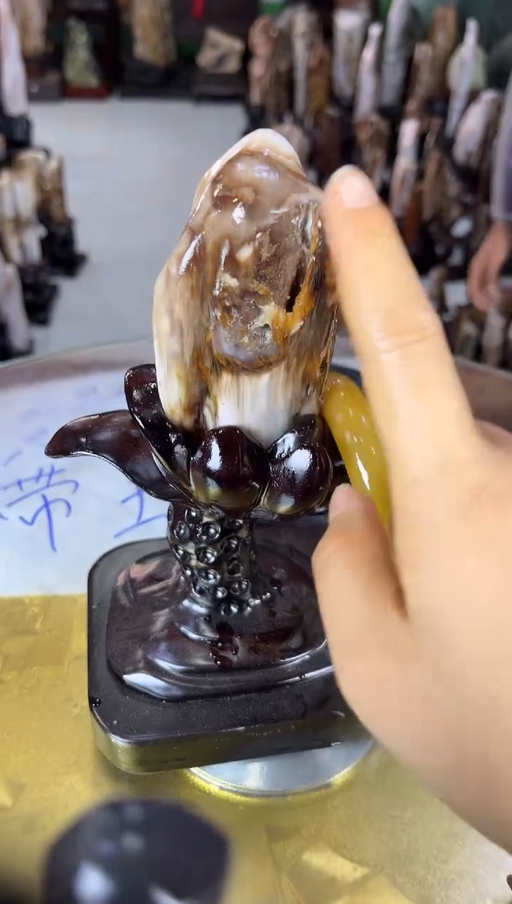 未镶嵌珠宝奇石硅化玉缅甸天然树化玉精品居家摆件