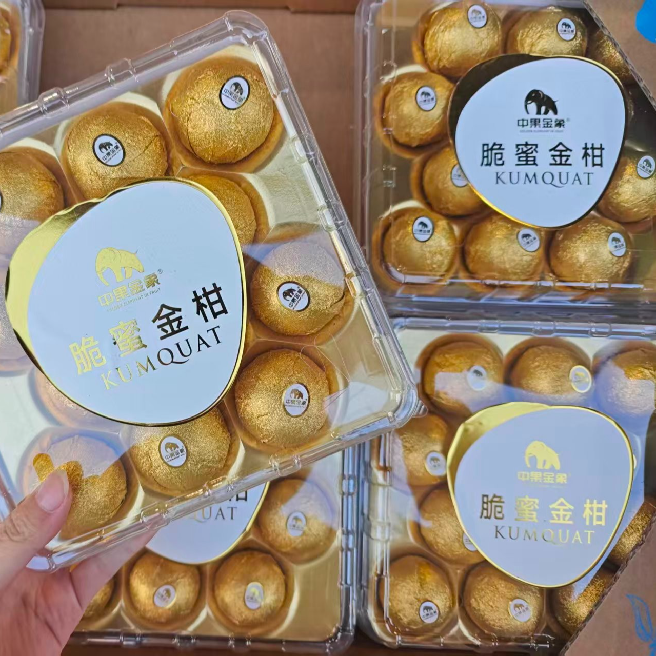 脆蜜金柑嘎嘎甜一盒净重1斤59.8元广西壮族自治区
