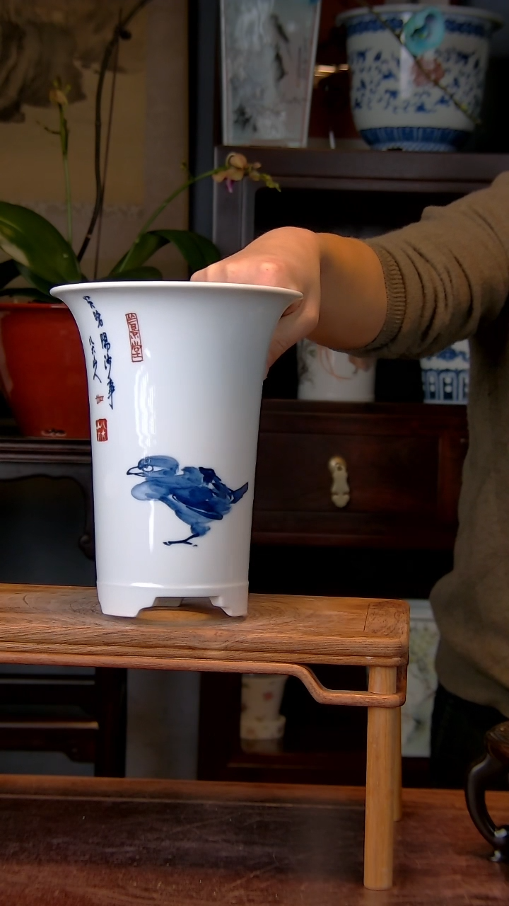 【闪购商品】红陶1