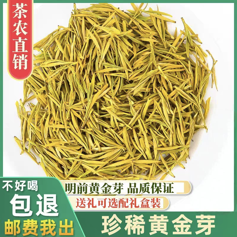 2025新茶黄金芽绿茶茶叶250克