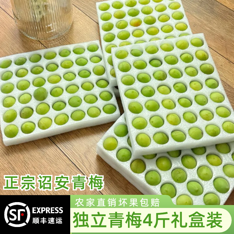 【现货速发】顺丰精品单果独立青梅鲜果泡酒酵素酸梅子新鲜水果