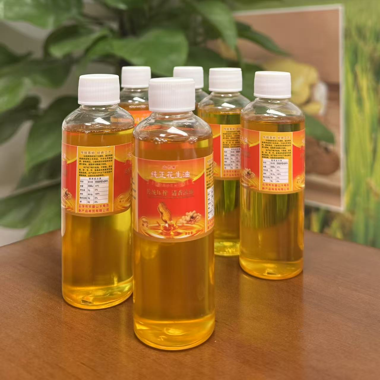 【浓香】广东纯正浓香压榨二级花生油 白切 清蒸 凉拌（100ml）*6支