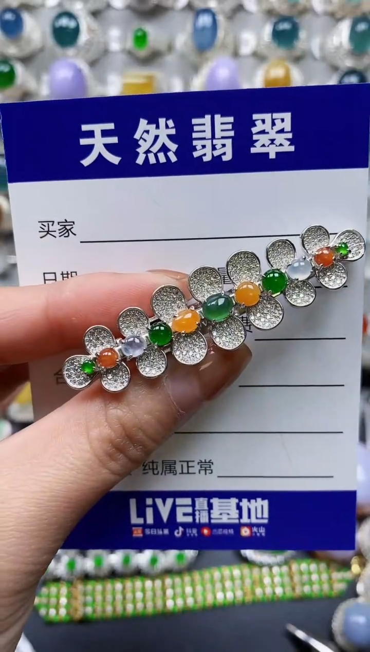 【闪购商品】翡翠颈饰银S925镶嵌0163