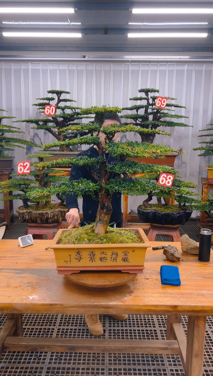 【闪购商品】紫砂精品盆景直播间一物一拍