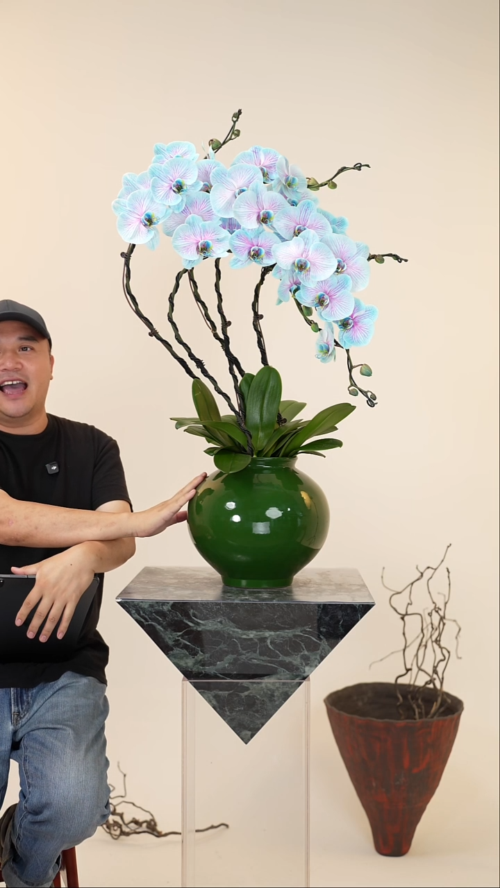 全部花朵010号链接【一物一拍】艺术盆景