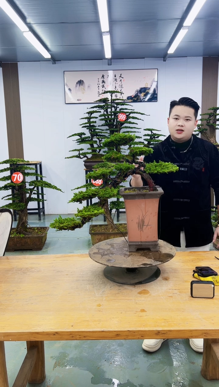 无花朵00000000000