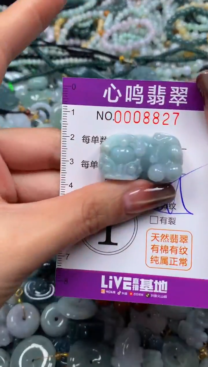 颈饰未镶嵌翡翠闪购008827