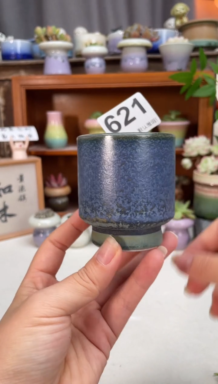 瓷片621知木小芳你花盆