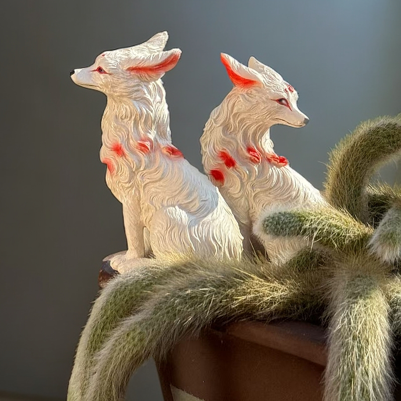 九尾狐  {阿琳妹妹}鲜花绿植玫瑰多肉植物新手好养好货基地直发