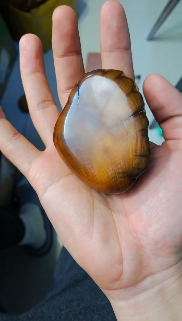 【闪购商品】柏木70崖柏崖柏崖柏崖柏