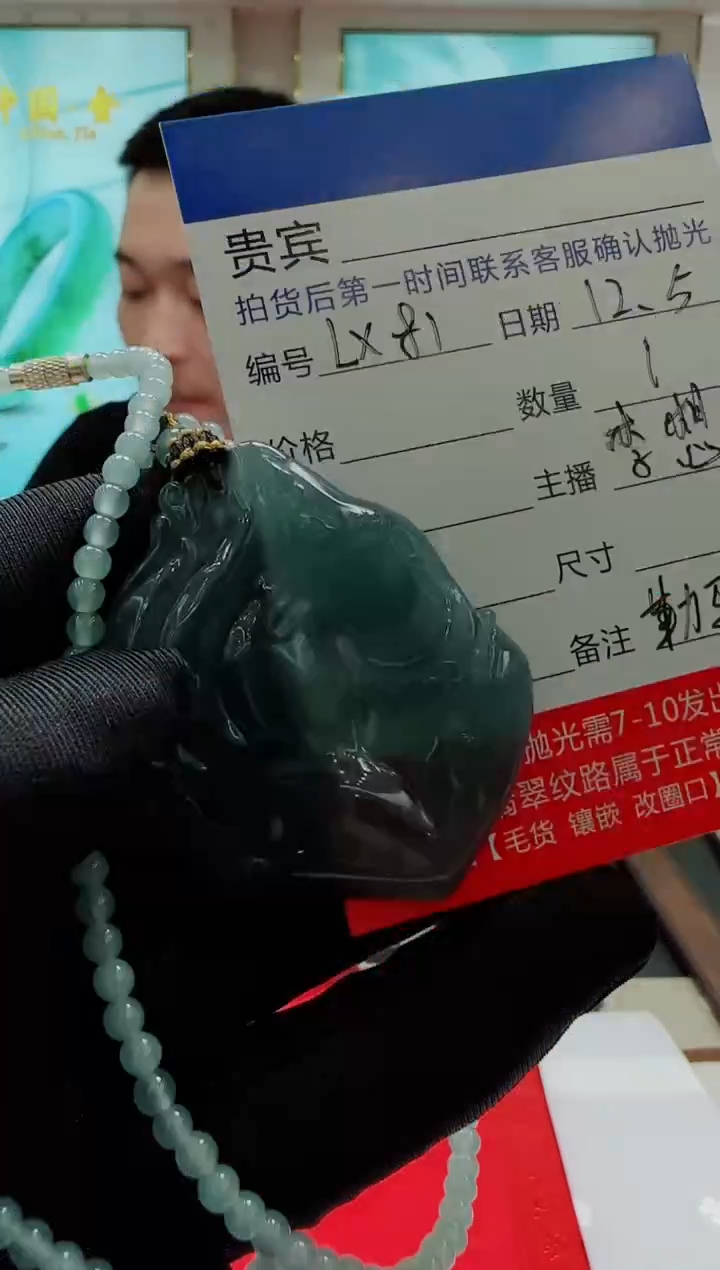 未镶嵌定制翡翠LX81翡翠吊坠赠珠链-多样性发其一