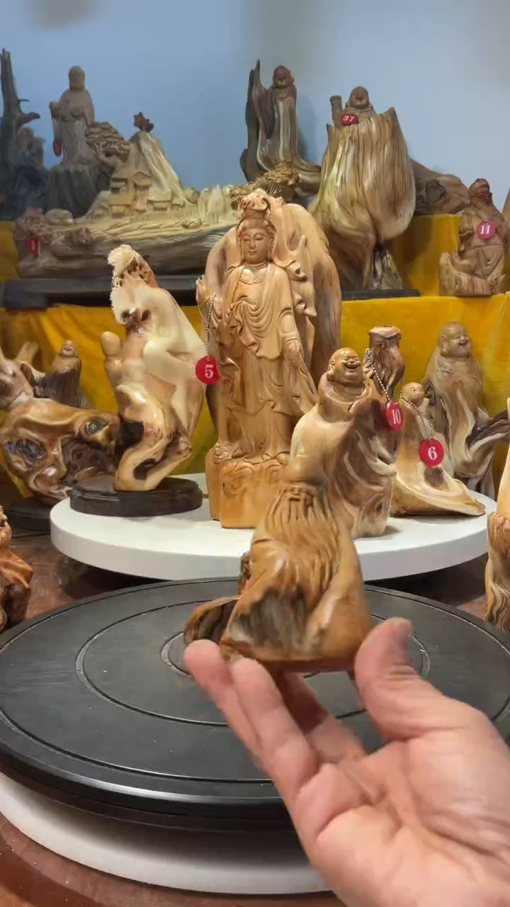 【闪购商品】柏木（崖柏）  寿星