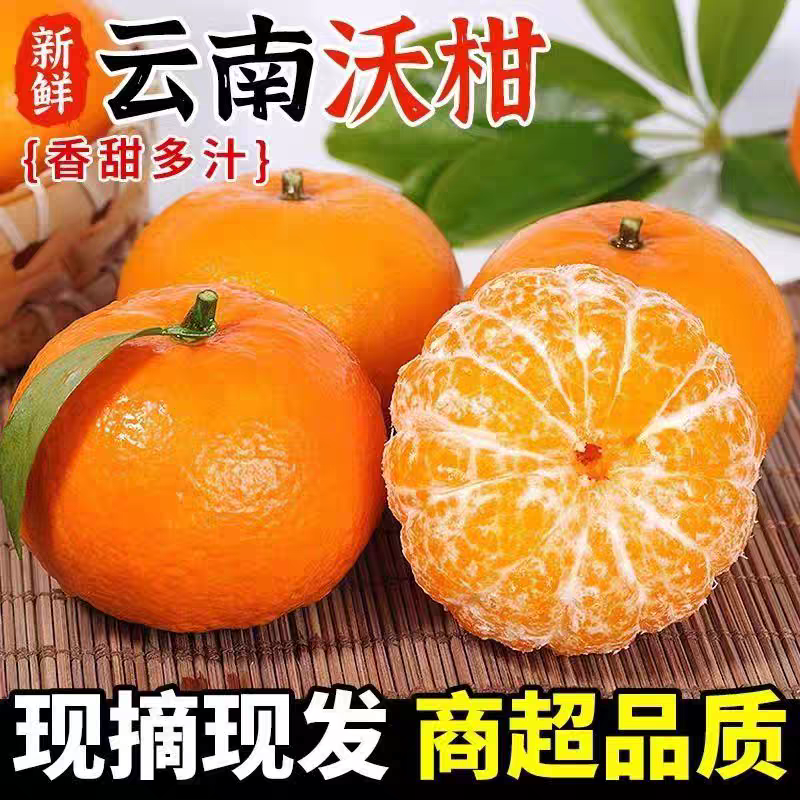 云南高山沃柑现采新鲜水果当季上市皮薄甘甜多汁y