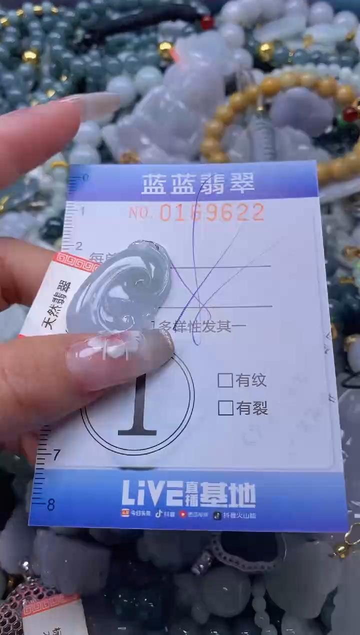 【闪购商品】翡翠颈饰未镶嵌闪购0169622