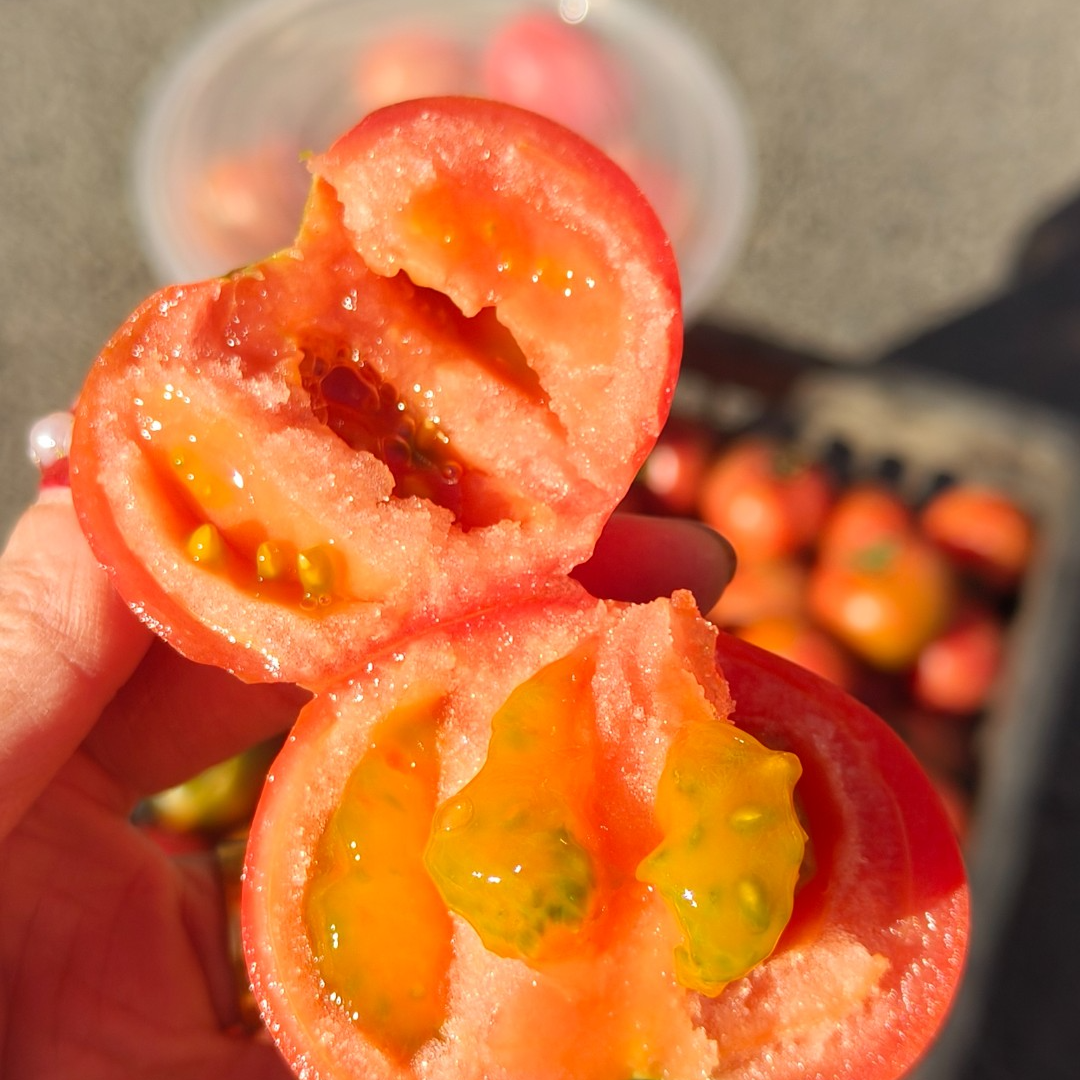 【鲜果速送】铁皮西红柿一盒2斤草莓柿子