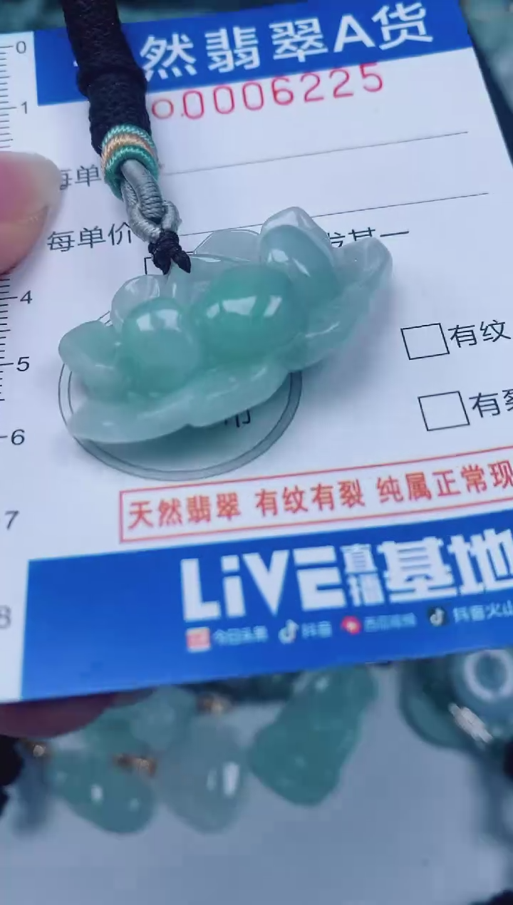 颈饰未镶嵌翡翠00006225