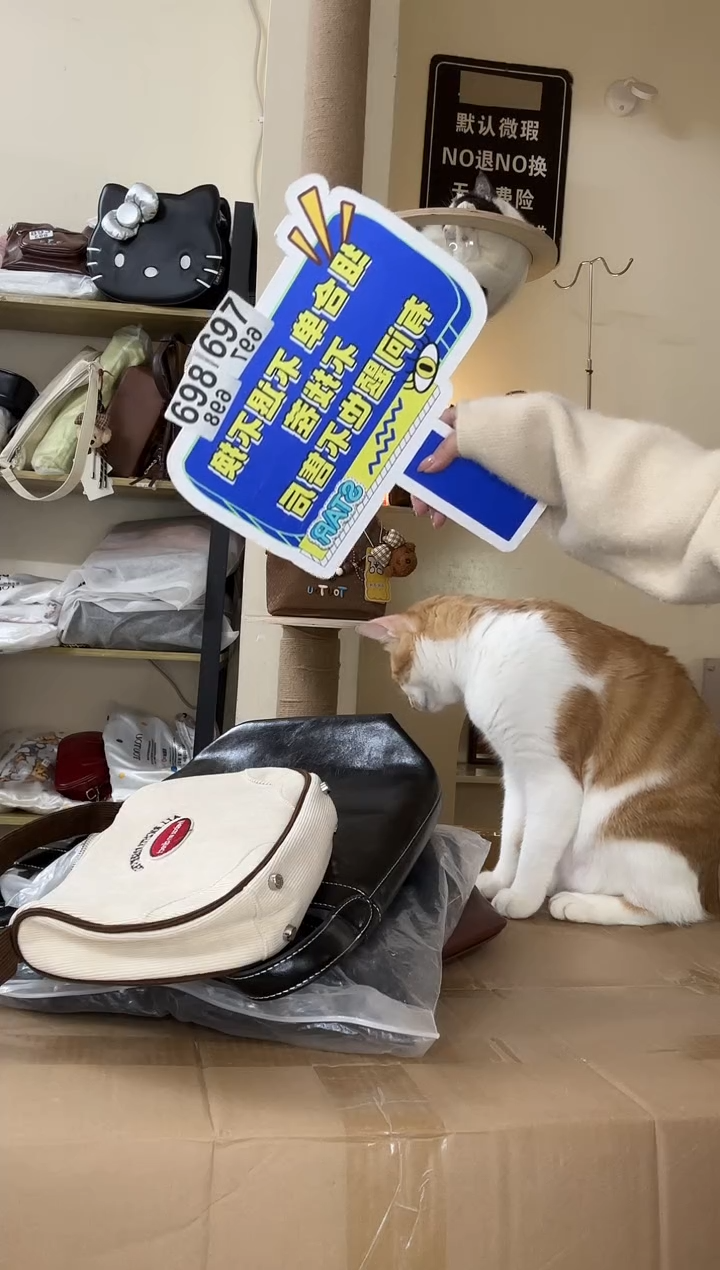 PU钱*以直播链接为准 默认微瑕698组合
