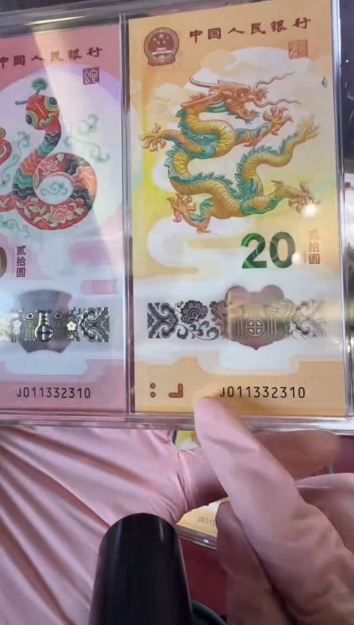 【闪购商品】塑料2025蛇钞啊啊啊啊啊全同号裸