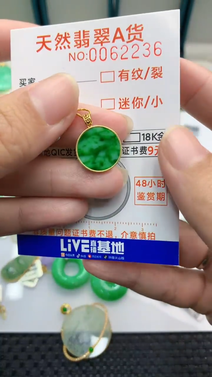 【闪购商品】翡翠颈饰18K金镶嵌            8