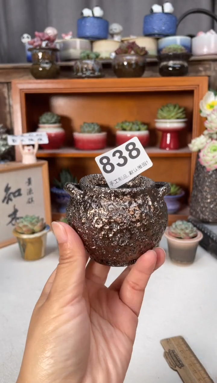 瓷片837小芳直播编号