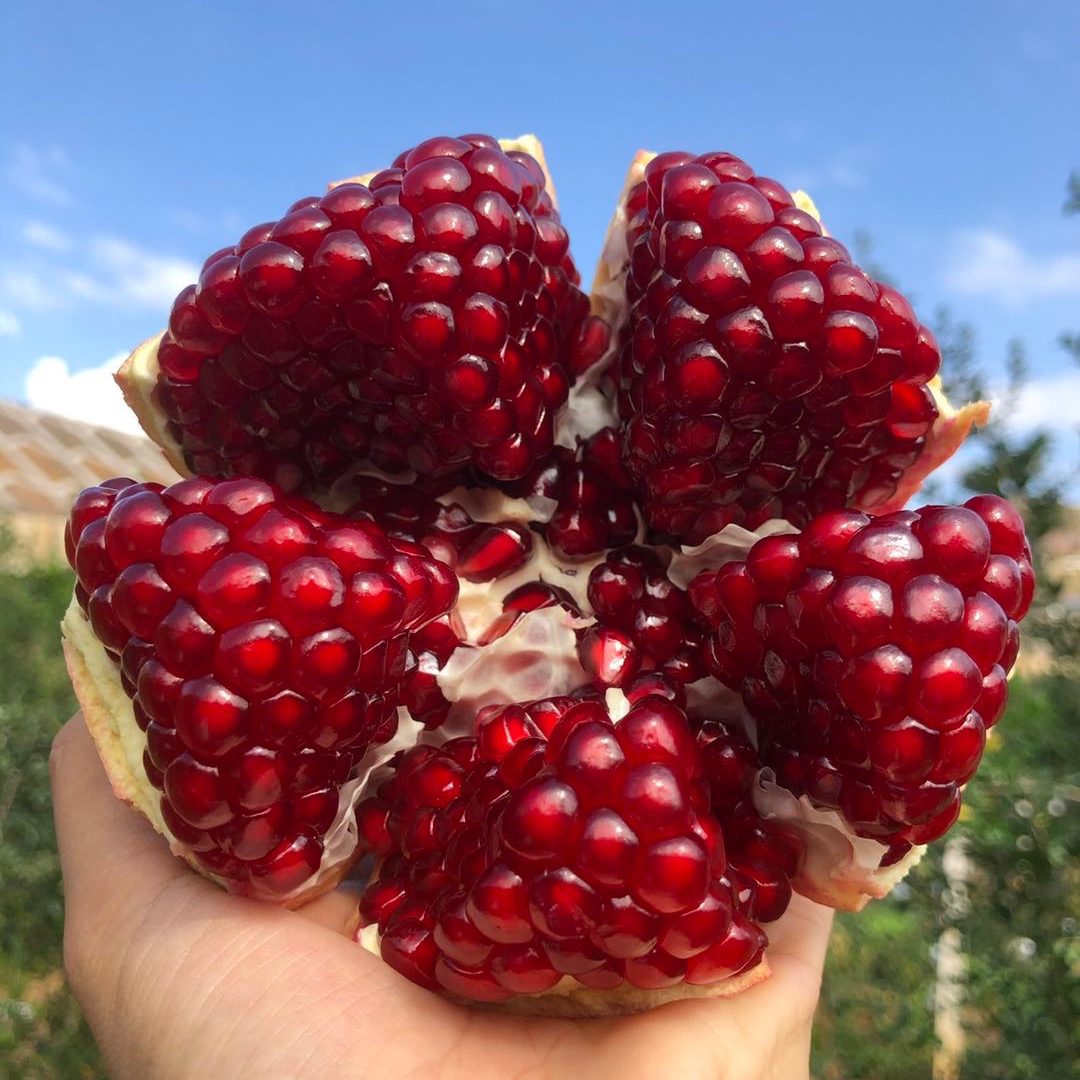 【木木专享】大理宾川黑珍珠酸甜石榴新鲜当季水果皮薄香甜多汁无籽