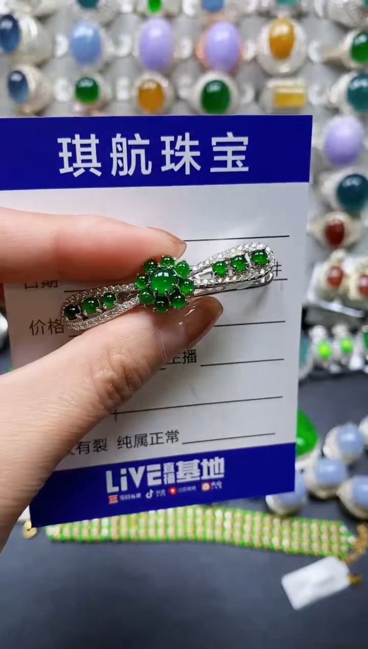 【闪购商品】翡翠颈饰银S925镶嵌0361