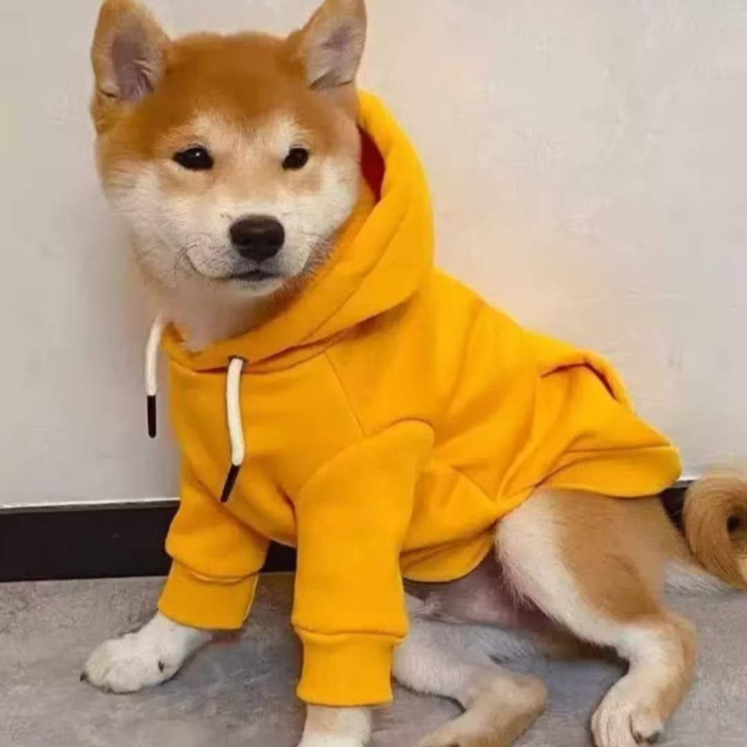 柴犬宠物狗狗相册 JJ