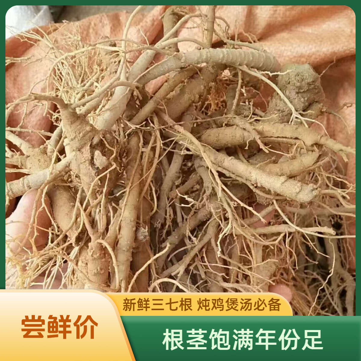 新鲜三七根云南文山土特产田七大根须根精选菜根煲汤炖鸡文山产地