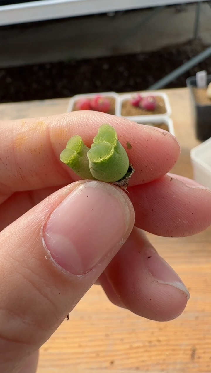 【闪购商品】17-49