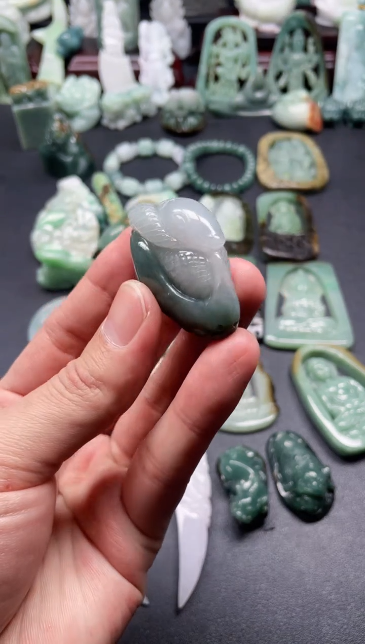 颈饰未镶嵌翡翠2  天然翡翠a货  蛇