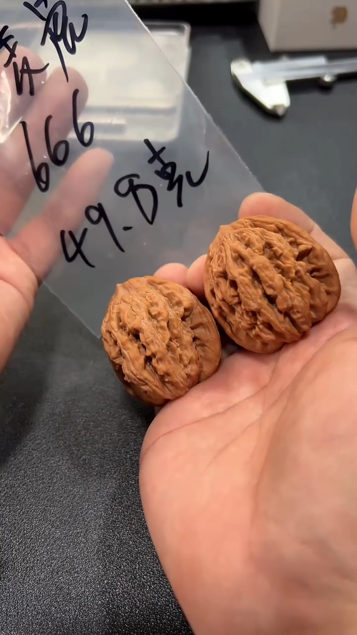 把件文玩核桃宁**:43虎头