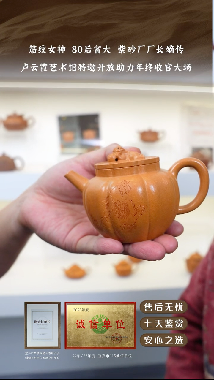 卢云霞玉成老段狮球180cc