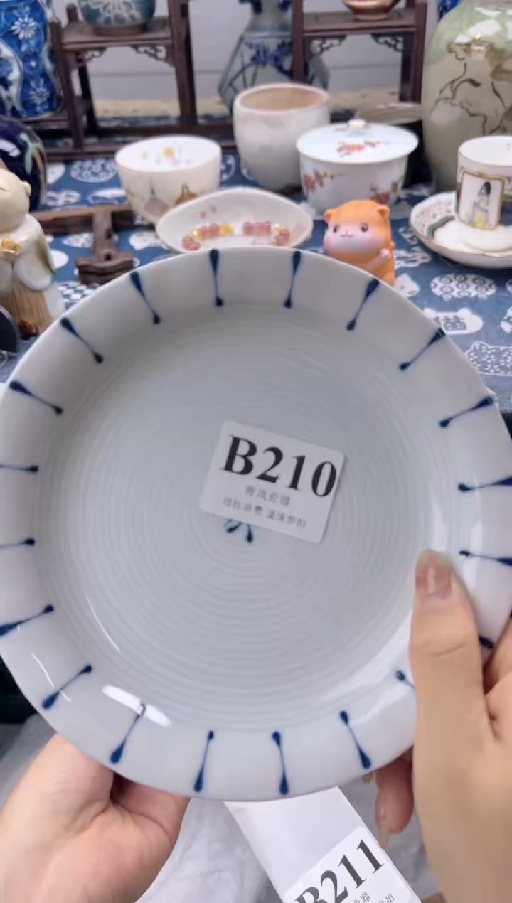 瓷片汤***物    B210