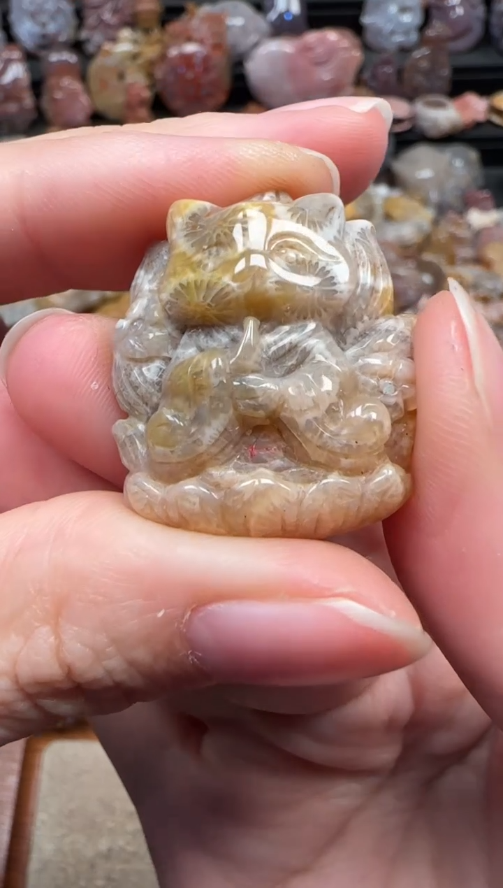 颈饰未镶嵌硅化珊瑚（珊瑚玉）309