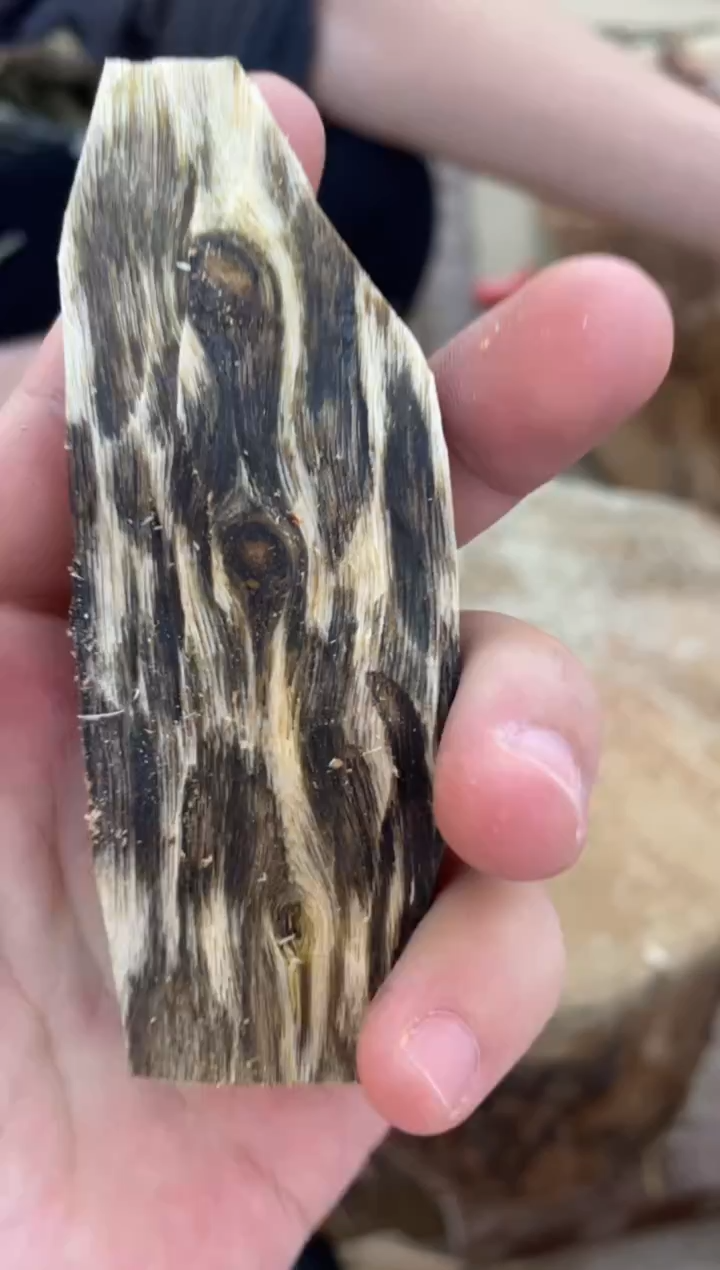 沉香沉香碎屑棋楠沉香 原料文创1